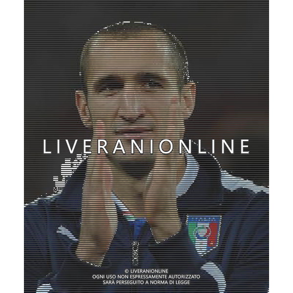 Campionati Europei UEFA 2012 Polonia/Ucraina Finale Kiev (Ucraina) - 01.07.2012 Spagna-Italia Nella Foto:Chiellini Giorgio /Ph.Vitez-Ag. Aldo Liverani