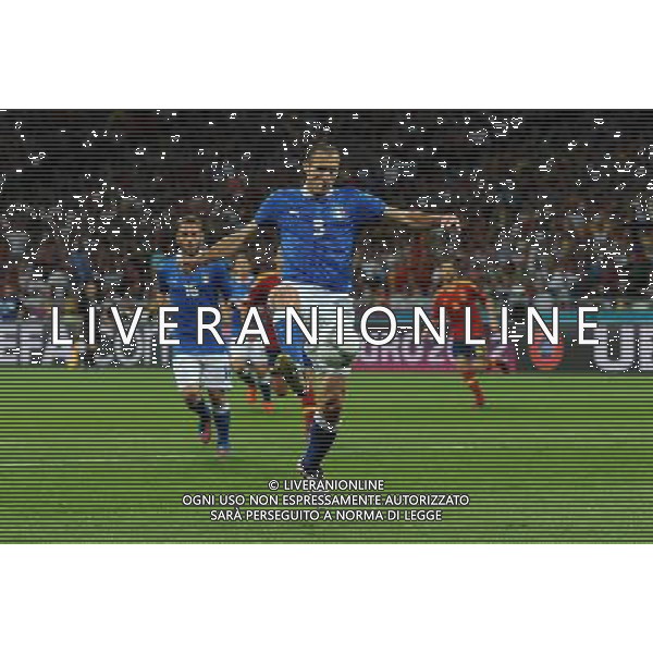 Campionati Europei UEFA 2012 Polonia/Ucraina Finale Kiev (Ucraina) - 01.07.2012 Spagna-Italia Nella Foto:Chiellini Giorgio /Ph.Vitez-Ag. Aldo Liverani