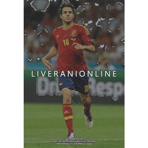 Campionati Europei UEFA 2012 Polonia/Ucraina Finale Kiev (Ucraina) - 01.07.2012 Spagna-Italia Nella Foto:Fabregas Cesc /Ph.Vitez-Ag. Aldo Liverani