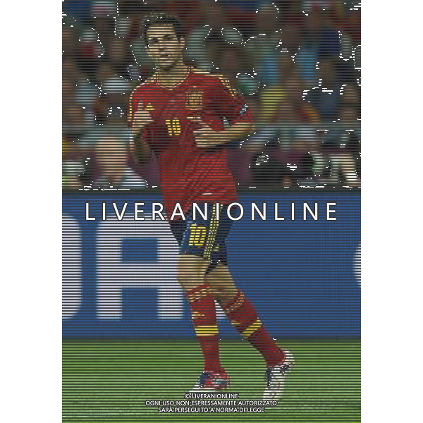 Campionati Europei UEFA 2012 Polonia/Ucraina Finale Kiev (Ucraina) - 01.07.2012 Spagna-Italia Nella Foto:Fabregas Cesc /Ph.Vitez-Ag. Aldo Liverani