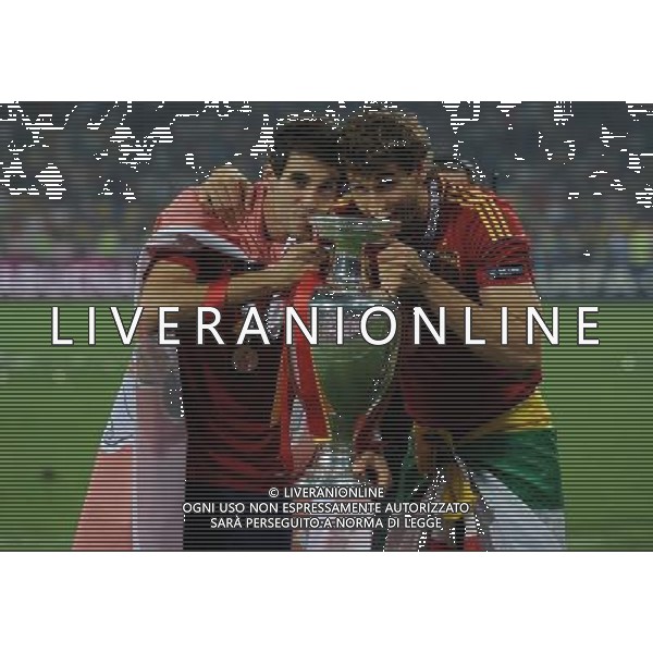 Campionati Europei UEFA 2012 Polonia/Ucraina Finale Kiev (Ucraina) - 01.07.2012 Spagna-Italia Nella Foto:Martinez - llorente /Ph.Vitez-Ag. Aldo Liverani