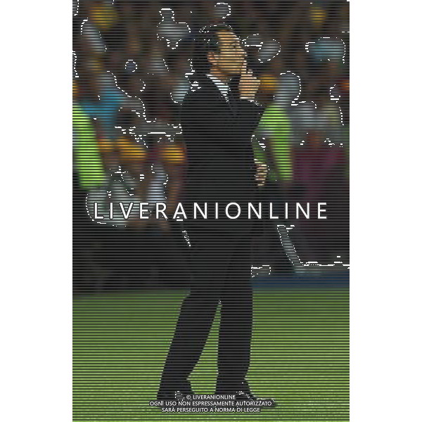 Campionati Europei UEFA 2012 Polonia/Ucraina Finale Kiev (Ucraina) - 01.07.2012 Spagna-Italia Nella Foto:Prandelli Cesare /Ph.Vitez-Ag. Aldo Liverani