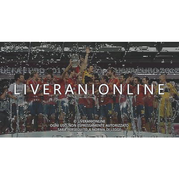 Campionati Europei UEFA 2012 Polonia/Ucraina Finale Kiev (Ucraina) - 01.07.2012 Spagna-Italia Nella Foto:Premiazione Spagna /Ph.Vitez-Ag. Aldo Liverani