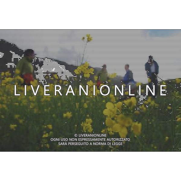 (120705) -- LHASA, July 5, 2012 () -- Visitors play in the rapeseed fields in Doilungdeqen County of Lhasa, capital of southwest China\'s Tibet Autonomous Region, July 4, 2012. The rape flowers along the Yarlung Zangbo River are in full bloom in July, attracting quite a lot of tourists. (/Wen Tao) (cl/zgp) ©photoshot/AGENZIA ALDO LIVERANI SAS - ITALY ONLY - Campi di colza in piena fioritura a Doilungdeqen Contea di Lhasa, capitale della regione sud-ovest della Cina autonoma del Tibet, 4 luglio 2012.