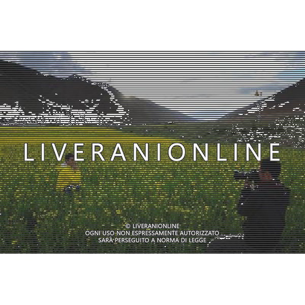 (120705) -- LHASA, July 5, 2012 () -- Visitors take photos in the rapeseed fields in Doilungdeqen County of Lhasa, capital of southwest China\'s Tibet Autonomous Region, July 4, 2012. The rape flowers along the Yarlung Zangbo River are in full bloom in July, attracting quite a lot of tourists. (/Wen Tao) (cl/zgp) ©photoshot/AGENZIA ALDO LIVERANI SAS - ITALY ONLY - Campi di colza in piena fioritura a Doilungdeqen Contea di Lhasa, capitale della regione sud-ovest della Cina autonoma del Tibet, 4 luglio 2012.