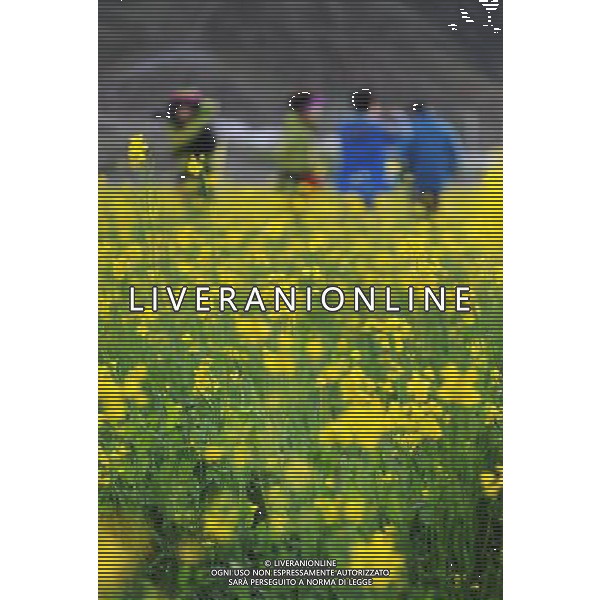 (120705) -- LHASA, July 5, 2012 () -- Visitors play in the rapeseed fields in Doilungdeqen County of Lhasa, capital of southwest China\'s Tibet Autonomous Region, July 4, 2012. The rape flowers along the Yarlung Zangbo River are in full bloom in July, attracting quite a lot of tourists. (/Wen Tao) (cl/zgp) ©photoshot/AGENZIA ALDO LIVERANI SAS - ITALY ONLY - Campi di colza in piena fioritura a Doilungdeqen Contea di Lhasa, capitale della regione sud-ovest della Cina autonoma del Tibet, 4 luglio 2012.