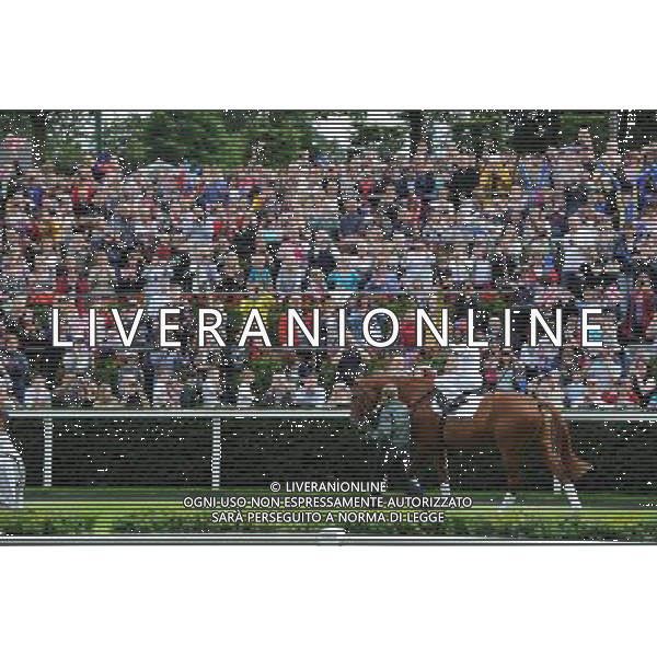 Frankie Detori riding Monsignor at the Olympic Torch Relay, Ascot 10th July 2012. PHOTOSHOT/AG ALDO LIVERANI SAS - ITALY ONLY -