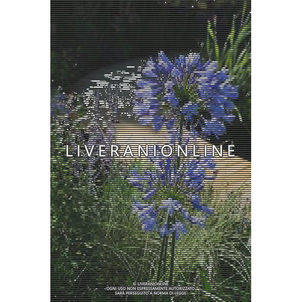 RHS Tatton 2012 - Royal Horticultural Society\'s Tatton Park Show on July 18, 2012 in Knutsford, England. PHOTOSHOT/AG ALDO LIVERANI SAS - ITALY ONLY -