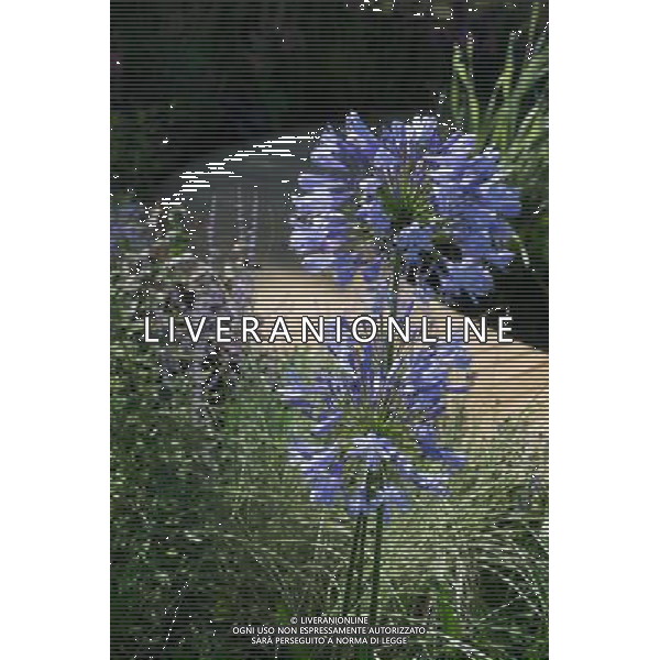 RHS Tatton 2012 - Royal Horticultural Society\'s Tatton Park Show on July 18, 2012 in Knutsford, England. PHOTOSHOT/AG ALDO LIVERANI SAS - ITALY ONLY -