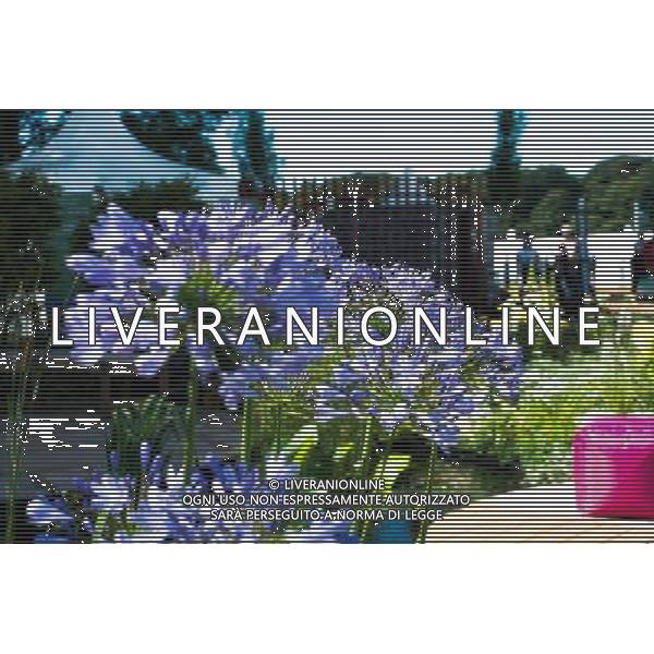 RHS Tatton 2012 - Royal Horticultural Society\'s Tatton Park Show on July 18, 2012 in Knutsford, England. PHOTOSHOT/AG ALDO LIVERANI SAS - ITALY ONLY -