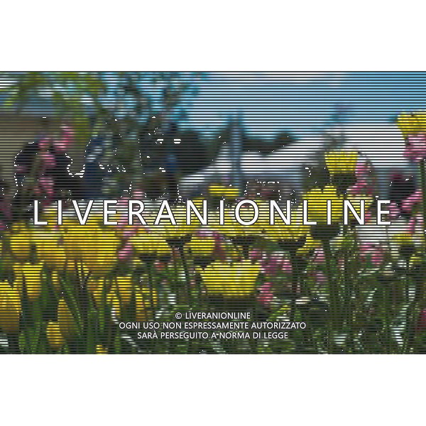 RHS Tatton 2012 - Royal Horticultural Society\'s Tatton Park Show on July 18, 2012 in Knutsford, England. PHOTOSHOT/AG ALDO LIVERANI SAS - ITALY ONLY -