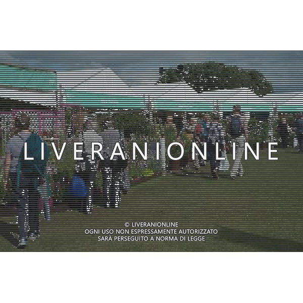 RHS Tatton 2012 - Royal Horticultural Society\'s Tatton Park Show on July 18, 2012 in Knutsford, England. PHOTOSHOT/AG ALDO LIVERANI SAS - ITALY ONLY -