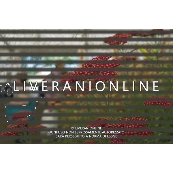 RHS Tatton 2012 - Royal Horticultural Society\'s Tatton Park Show on July 18, 2012 in Knutsford, England. PHOTOSHOT/AG ALDO LIVERANI SAS - ITALY ONLY -