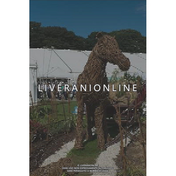 RHS Tatton 2012 - Royal Horticultural Society\'s Tatton Park Show on July 18, 2012 in Knutsford, England. PHOTOSHOT/AG ALDO LIVERANI SAS - ITALY ONLY -