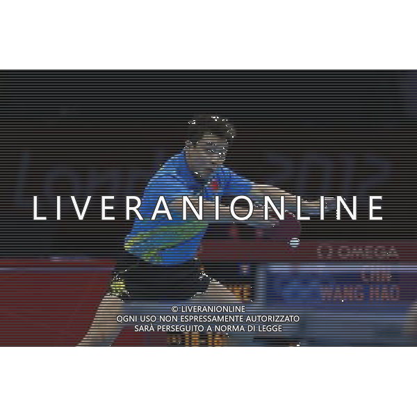 (120802) -- LONDON, Aug. 2, 2012 () -- Wang Hao of China competes during men\'s table tennis singles final match against Zhang Jike of China, at London 2012 Olympic Games in London, Britain, on August 2, 2012. Wang Hao of China lost 1-4. (/Shen Bohan) (nxl) /PHOTOSHOT/ALDO LIVERANI ITALY ONLY -