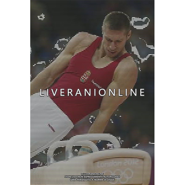 (120805) -- LONDON, Aug. 5, 2012 () -- Krisztian Berki of Hungary competes during men\'s pommel horse final contest of Gymnastics Artistic event, at London 2012 Olympic Games in London, Britain, on August 5, 2012. Krisztian Berki of Hungary won gold medal. (/Shen Bohan) (nxl) /PHOTOSHOT/AG ALDO LIVERANI SAS - ITALY ONLY -