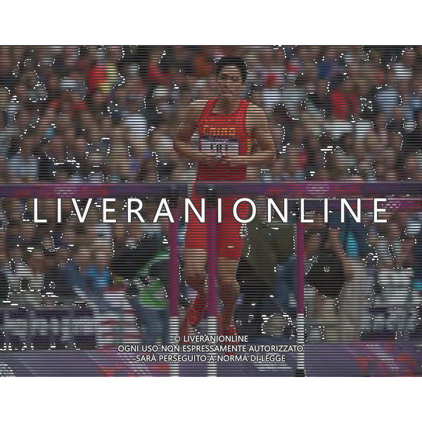 (120807) -- LONDON, Aug. 7, 2012 () -- China\'s Liu Xiang hops down the track after men\'s 110m hurdles heat at London 2012 Olympic Games, London, Britain, Aug. 7, 2012. Liu Xiang tumbled and was disqualified for semifinal.(/Liao Yujie)(zgp) AG ALDO LIVERANI S A S ONLY ITALY
