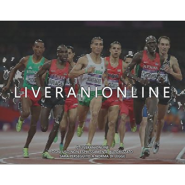 (120807) -- LONDON, Aug. 7, 2012 () -- Taoufik Makhloufi of Algeria competes during men\'s 1500m final contest, at London 2012 Olympic Games in London, Britain, on August 7, 2012. Taoufik Makhloufi of Algeria won gold medal. (/Liao Yujie) (nxl) AG ALDO LIVERANI S A S ONLY ITALY