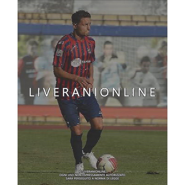 LUMEZZANE CALCIO 2012/2013 LEGAPRO NELLA FOTO D\'AMBROSIO DARIO FOTO MORGANO -LIVE-AG ALDO LIVERANI S A S