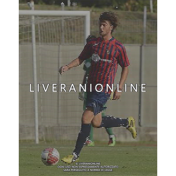 LUMEZZANE CALCIO 2012/2013 LEGAPRO NELLA FOTO DAMETTO PAOLO FOTO MORGANO -LIVE-AG ALDO LIVERANI S A S