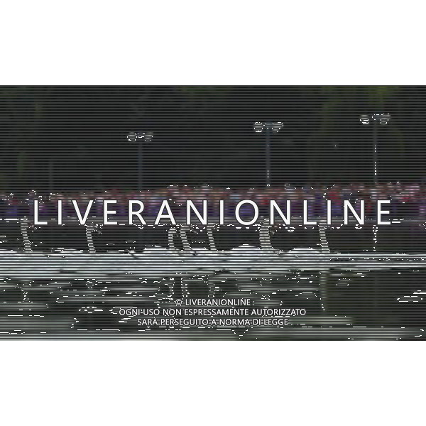 (120809) -- LONDON, Aug. 9, 2012 () -- Swans paddle in water as athletes compete during women\'s 10km marathon at London 2012 Olympic Games, London, Britain, Aug. 9, 2012. (/Tao Xiyi)(zgp) ©photoshot/AGENZIA ALDO LIVERANI SAS - ITALY ONLY - GIOCHI OLIMPICI, OLIMPIADI LONDRA 2012