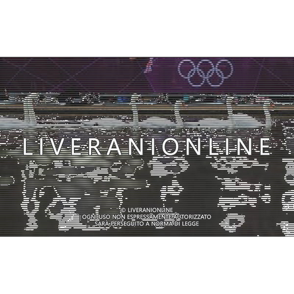 (120809) -- LONDON, Aug. 9, 2012 () -- Swans paddle in water during women\'s 10km marathon at London 2012 Olympic Games, London, Britain, Aug. 9, 2012. (/Tao Xiyi)(zgp) ©photoshot/AGENZIA ALDO LIVERANI SAS - ITALY ONLY - GIOCHI OLIMPICI, OLIMPIADI LONDRA 2012