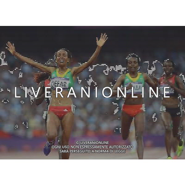 (120810) -- LONDON, Aug. 10, 2012 () -- Meseret Defar of Ethiopia (front) celebrates after women\'s 5000m final at London 2012 Olympic Games, London, Britain, Aug. 10, 2012. Meseret Defar won gold medal with 15:04.25. (/Li Gang) (zgp) ©photoshot/Agenzia Aldo Liverani Sas - ITALY ONLY - GIOCHI OLIMPICI, OLIMPIADI LONDRA 2012
