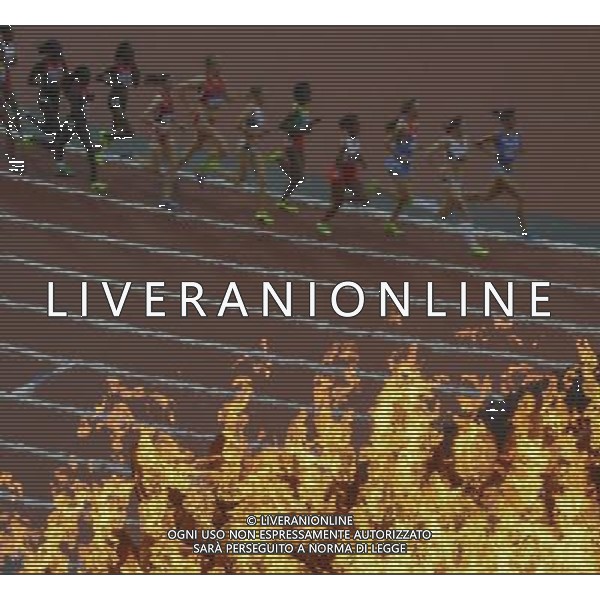 (120810) -- LONDON, Aug. 10, 2012 () -- Athletes compete in women\'s 1500m final at London 2012 Olympic Games, London, Britain, Aug. 10, 2012. Asli Cakir Alptekin won gold medal with 4:10.23. (/Qi Heng)(zgp) AG ALDO LIVERANI S A S ONLY ITALY