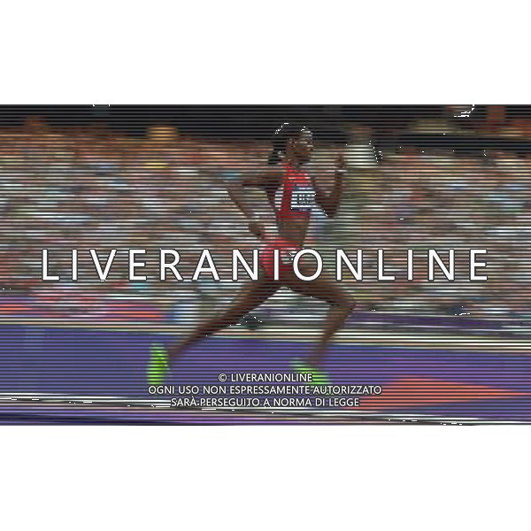 (120810) -- LONDON, Aug. 10, 2012 () -- DeeDee Trotter of USA sprints during women\'s 4x400m relay heat at London 2012 Olympic Games, London, Britain, Aug. 10, 2012. The USA team advanced to final. (/Gesang Dawa)(zgp) ©photoshot/Agenzia Aldo Liverani Sas - ITALY ONLY - GIOCHI OLIMPICI, OLIMPIADI LONDRA 2012