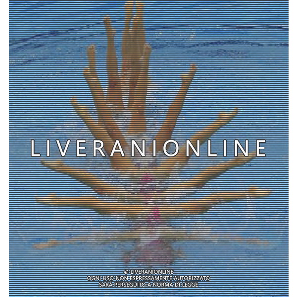 (120810) -- LONDON, Aug. 10, 2012 () -- Members of the Canadian team perform during women\'s Synchronised Swimming teams free routine competition, at London 2012 Olympic Games in London, Britain, on August 10, 2012. The Canadian team finished fourth. (/Ren Zhenglai) (nxl) ©photoshot/Agenzia Aldo Liverani Sas - ITALY ONLY - GIOCHI OLIMPICI, OLIMPIADI LONDRA 2012