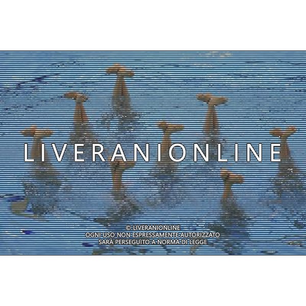 (120810) -- LONDON, Aug. 10, 2012 () -- Members of the Spanish team perform during women\'s Synchronised Swimming teams free routine competition, at London 2012 Olympic Games in London, Britain, on August 10, 2012. The Spanish team won bronze medal. (/Ren Zhenglai) (nxl) ©photoshot/Agenzia Aldo Liverani Sas - ITALY ONLY - GIOCHI OLIMPICI, OLIMPIADI LONDRA 2012