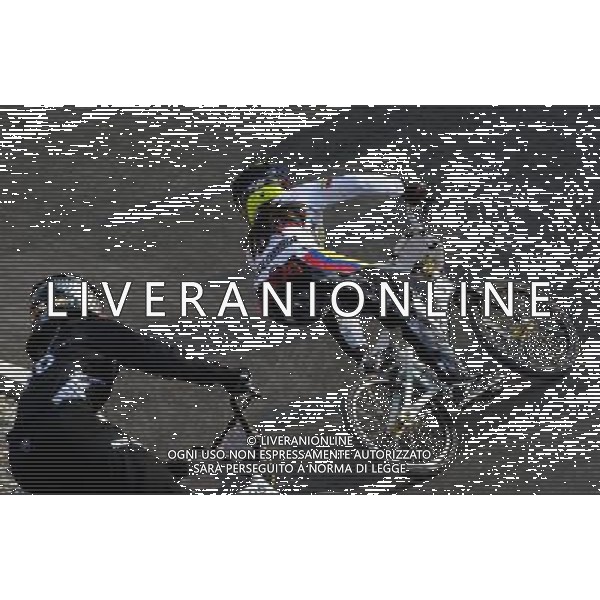 (120810) -- LONDON, Aug. 10, 2012 () -- Mariana Pajon of Colombia (No.5) competes during women\'s cycling BMX competition, at London 2012 Olympic Games in London, Britain, on August 10, 2012. Mariana Pajon of Colombia won gold medal. (/Yang Zongyou) (nxl) ©photoshot/Agenzia Aldo Liverani Sas - ITALY ONLY - GIOCHI OLIMPICI, OLIMPIADI LONDRA 2012