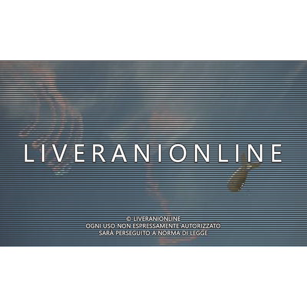 (120811) -- LONDON, Aug. 11, 2012 () -- Paratroopers perform after women\'s Cross-country competition of Cycling Mountain Bike event, at London 2012 Olympic Games in London, Britain, on August 11, 2012. Julie Bresset of France won gold medal. (/Li Ga) (nxl) ©PHOTOSHOT/Agenzia Aldo Liverani Sas - ITALY ONLY - GIOCHI OLIMPICI, OLIMPIADI LONDRA 2012