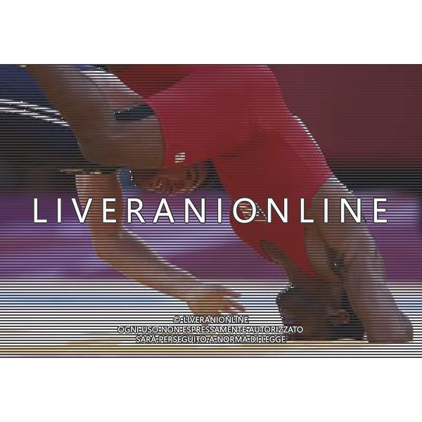 (120811) -- LONDON, Aug. 11, 2012 () -- Sharif Sharifov of Azerbaijan (in blue) competes with Jaime Yusept Espinal of Puerto Rico during men\'s freestyle wrestling 84kg gold medal contest, at London 2012 Olympic Games in London, Britain, on August 11, 2012. Sharif Sharifov of Azerbaijan won gold medal. (/Ren Zhenglai) (nxl) ©PHOTOSHOT/Agenzia Aldo Liverani Sas - ITALY ONLY - GIOCHI OLIMPICI, OLIMPIADI LONDRA 2012