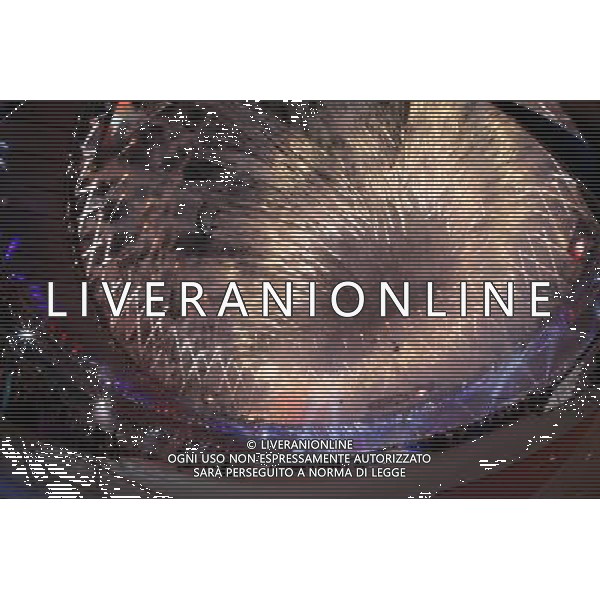 (120812) -- LONDON, Aug. 12, 2012 () -- Photo taken on August 12, 2012 shows fireworks displayed at the Closing Ceremony of the London 2012 Olympic Games at the Olympic Stadium in London, Britain. (/Shen Bohan) (zgp) ©PHOTOSHOT/AGENZIA ALDO LIVERANI SAS - ITALY ONLY - CERIMONIA DI CHIUSURA DEI GIOCHI OLIMPICI, OLIMPIADI LONDRA 2012