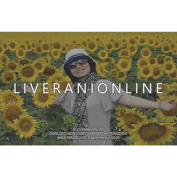 (120817) -- BURQIN, Aug. 17, 2012 () -- Photo taken on Aug. 17, 2012 shows a visitor posing for photos amongst sunflowers in a field in Burqin County, northwest China\'s Xinjiang Uygur Autonomous Region. More than 200 mu, about 13.3 hectares of sunflowers have been planted in Xiaokang Village of Burqin County, attracting many tourists. (/Zhao Ge) (gjh) ©PHOTOSHOT/Agenzia Aldo Liverani Sas - ITALY ONLY - CAMPI DI GIRASOLI IN FIORE IN CINA