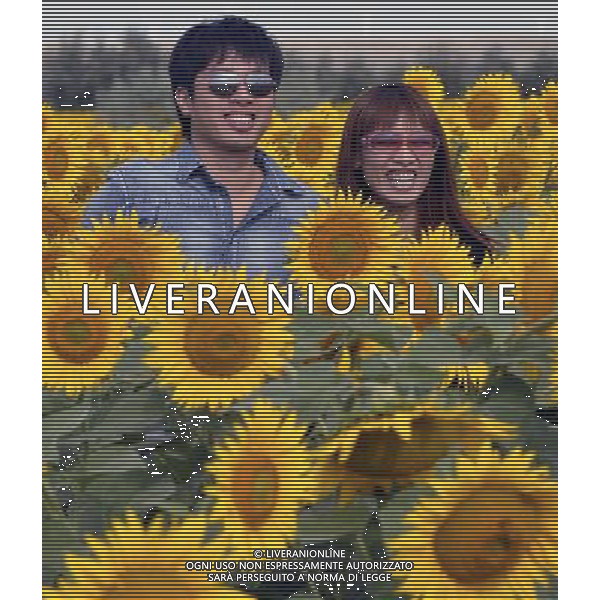 (120817) -- BURQIN, Aug. 17, 2012 () -- Photo taken on Aug. 17, 2012 shows visitors posing for photos amongst sunflowers in a field in Burqin County, northwest China\'s Xinjiang Uygur Autonomous Region. More than 200 mu, about 13.3 hectares of sunflowers have been planted in Xiaokang Village of Burqin County, attracting many tourists. (/Zhao Ge) (gjh) ©PHOTOSHOT/Agenzia Aldo Liverani Sas - ITALY ONLY - CAMPI DI GIRASOLI IN FIORE IN CINA