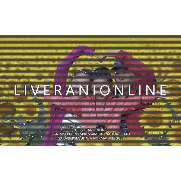 (120817) -- BURQIN, Aug. 17, 2012 () -- Photo taken on Aug. 17, 2012 shows visitors posing for photos amongst sunflowers in a field in Burqin County, northwest China\'s Xinjiang Uygur Autonomous Region. More than 200 mu, about 13.3 hectares of sunflowers have been planted in Xiaokang Village of Burqin County, attracting many tourists. (/Zhao Ge) (gjh) ©PHOTOSHOT/Agenzia Aldo Liverani Sas - ITALY ONLY - CAMPI DI GIRASOLI IN FIORE IN CINA