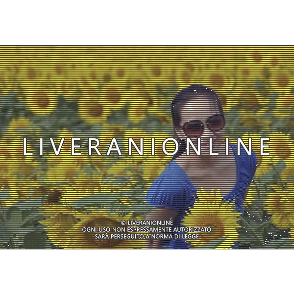 (120817) -- BURQIN, Aug. 17, 2012 () -- Photo taken on Aug. 17, 2012 shows a visitor posing for photos amongst sunflowers in a field in Burqin County, northwest China\'s Xinjiang Uygur Autonomous Region. More than 200 mu, about 13.3 hectares of sunflowers have been planted in Xiaokang Village of Burqin County, attracting many tourists. (/Zhao Ge) (gjh) ©PHOTOSHOT/Agenzia Aldo Liverani Sas - ITALY ONLY - CAMPI DI GIRASOLI IN FIORE IN CINA