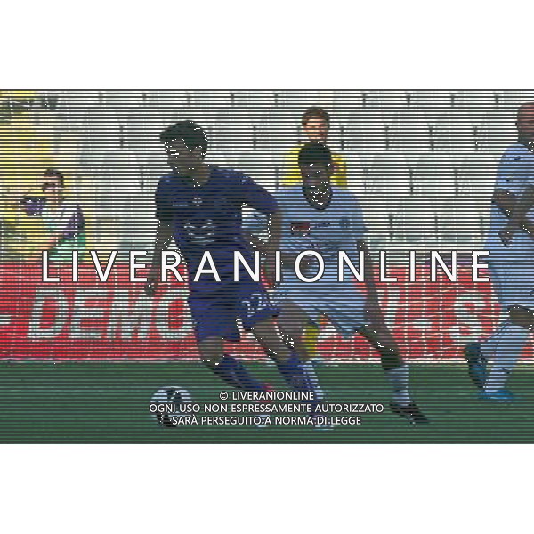 FIRENZE, 18 AGOSTO 2012 FIORENTINA NOVARA COPPA ITALIA 2012 2013 NELLA FOTO: LJAJIC E BUZZEGOLI FOTO STEFANO D\'ERRICO/AG. ALDO LIVERANI S.A.S.