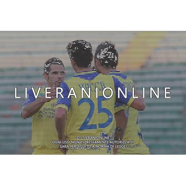 VERONA 18 AGOSTO 2012 CHIEVO - ASCOLI COPPA ITALIA TIM CUP 2012/2013 NELLA FOTO: ESULTANZA DOPO IL GOL DI THEREAU ©GARBUIO/AG. ALDO LIVERANI S.A.S.