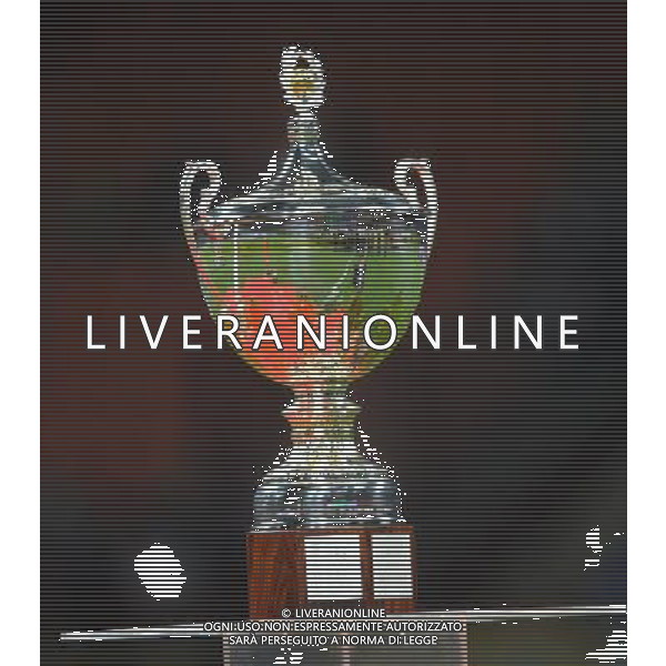 MILANO, 19-08-2012 / ©FOTO GIORGIO RAVEZZANI TROFEO LUIGI BERLUSCONI MILAN-JUVENTUS NELLA FOTO: TROFEO LUIGI BERLUSCONI AG ALDO LIVERANI S A S