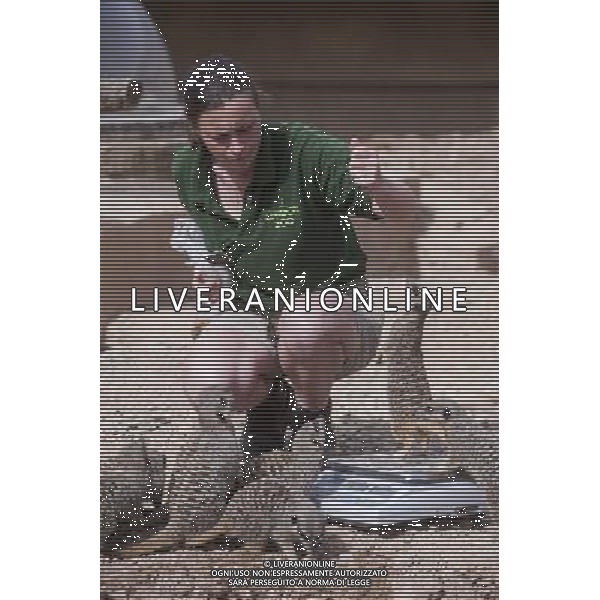 Meerkats are being weighed during the Annual weigh-in at ZSL London Zoo. Responsible for more than 16,000 animals, ZSL London ZooÍs keepers spend hours throughout the year recording the heights and weights of each and every animal, including penguins, meerkats, lions and owls. The measurements are then recorded into the Zoological Information Management System (ZIMS), where they can be shared with zoos across the world, which zoologists use to compare information on thousands of endangered species. ©photoshot/AGENZIA ALDO LIVERANI SAS - ITALY ONLY - Annuale operazione di pesatura e misurazione degli animali dello zoo di Londra 22 agosto 2012, Inghilterra necessario per essere registrati. Le misure sono raccolte nel sistema zoologico di gestione delle informazioni, per confrontare i dati su migliaia di specie in via di estinzione.