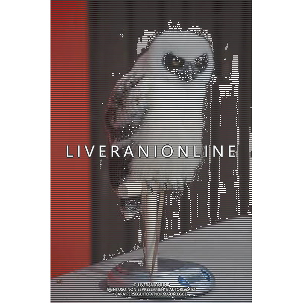 Elton, a spectacled owl is being weighed and measured during the Annual weigh-in at ZSL London Zoo. Responsible for more than 16,000 animals, ZSL London Zooês keepers spend hours throughout the year recording the heights and weights of each and every animal, including penguins, meerkats, lions and owls. The measurements are then recorded into the Zoological Information Management System (ZIMS), where they can be shared with zoos across the world, which zoologists use to compare information on thousands of endangered species. ©photoshot/AGENZIA ALDO LIVERANI SAS - ITALY ONLY - Annuale operazione di pesatura e misurazione degli animali dello zoo di Londra 22 agosto 2012, Inghilterra necessario per essere registrati. Le misure sono raccolte nel sistema zoologico di gestione delle informazioni, per confrontare i dati su migliaia di specie in via di estinzione.