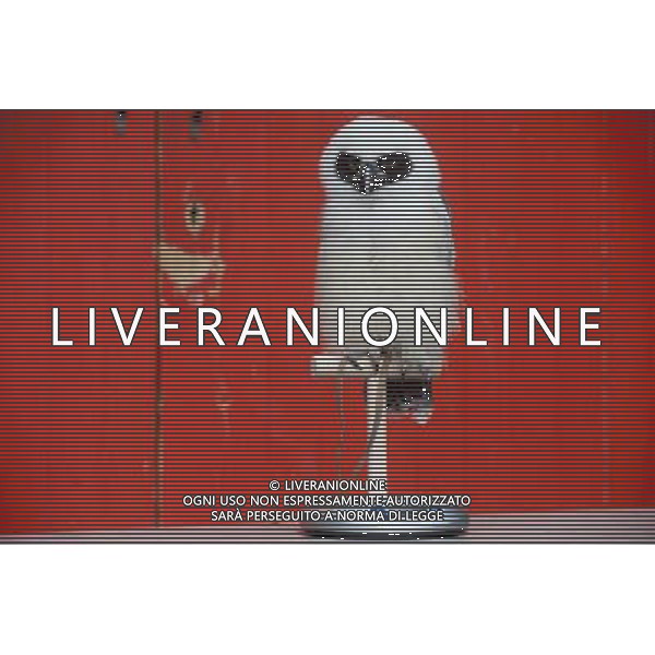 Elton, a spectacled owl is being weighed and measured during the Annual weigh-in at ZSL London Zoo. Responsible for more than 16,000 animals, ZSL London Zooês keepers spend hours throughout the year recording the heights and weights of each and every animal, including penguins, meerkats, lions and owls. The measurements are then recorded into the Zoological Information Management System (ZIMS), where they can be shared with zoos across the world, which zoologists use to compare information on thousands of endangered species. ©photoshot/AGENZIA ALDO LIVERANI SAS - ITALY ONLY - Annuale operazione di pesatura e misurazione degli animali dello zoo di Londra 22 agosto 2012, Inghilterra necessario per essere registrati. Le misure sono raccolte nel sistema zoologico di gestione delle informazioni, per confrontare i dati su migliaia di specie in via di estinzione.