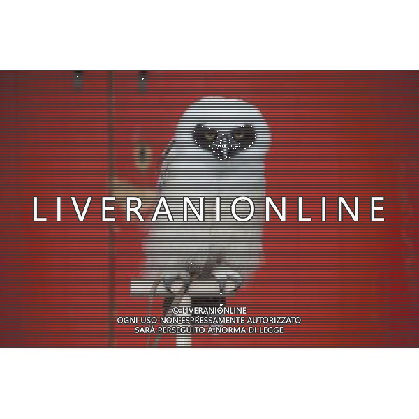 Elton, a spectacled owl is being weighed and measured during the Annual weigh-in at ZSL London Zoo. Responsible for more than 16,000 animals, ZSL London Zooês keepers spend hours throughout the year recording the heights and weights of each and every animal, including penguins, meerkats, lions and owls. The measurements are then recorded into the Zoological Information Management System (ZIMS), where they can be shared with zoos across the world, which zoologists use to compare information on thousands of endangered species. ©photoshot/AGENZIA ALDO LIVERANI SAS - ITALY ONLY - Annuale operazione di pesatura e misurazione degli animali dello zoo di Londra 22 agosto 2012, Inghilterra necessario per essere registrati. Le misure sono raccolte nel sistema zoologico di gestione delle informazioni, per confrontare i dati su migliaia di specie in via di estinzione.