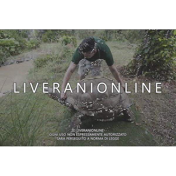 Dirk, a giant tortoise is being] measured during the Annual weigh-in at ZSL London Zoo. Responsible for more than 16,000 animals, ZSL London Zooês keepers spend hours throughout the year recording the heights and weights of each and every animal, including penguins, meerkats, lions and owls. The measurements are then recorded into the Zoological Information Management System (ZIMS), where they can be shared with zoos across the world, which zoologists use to compare information on thousands of endangered species. ©photoshot/AGENZIA ALDO LIVERANI SAS - ITALY ONLY - Annuale operazione di pesatura e misurazione degli animali dello zoo di Londra 22 agosto 2012, Inghilterra necessario per essere registrati. Le misure sono raccolte nel sistema zoologico di gestione delle informazioni, per confrontare i dati su migliaia di specie in via di estinzione.