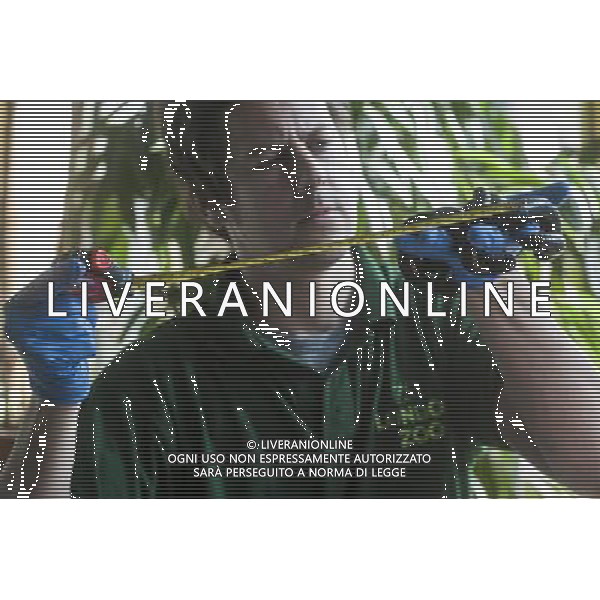 A giant African millipede is being measured during the Annual weigh-in at ZSL London Zoo. Responsible for more than 16,000 animals, ZSL London Zooês keepers spend hours throughout the year recording the heights and weights of each and every animal, including penguins, meerkats, lions and owls. The measurements are then recorded into the Zoological Information Management System (ZIMS), where they can be shared with zoos across the world, which zoologists use to compare information on thousands of endangered species. ©photoshot/AGENZIA ALDO LIVERANI SAS - ITALY ONLY - Annuale operazione di pesatura e misurazione degli animali dello zoo di Londra 22 agosto 2012, Inghilterra necessario per essere registrati. Le misure sono raccolte nel sistema zoologico di gestione delle informazioni, per confrontare i dati su migliaia di specie in via di estinzione.