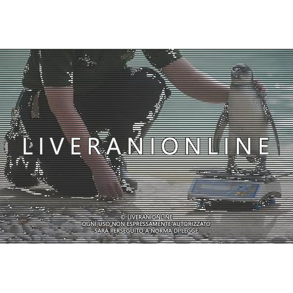 A penguin is being weighed and measured during the Annual weigh-in at ZSL London Zoo. Responsible for more than 16,000 animals, ZSL London ZooÍs keepers spend hours throughout the year recording the heights and weights of each and every animal, including penguins, meerkats, lions and owls. The measurements are then recorded into the Zoological Information Management System (ZIMS), where they can be shared with zoos across the world, which zoologists use to compare information on thousands of endangered species. ©photoshot/AGENZIA ALDO LIVERANI SAS - ITALY ONLY - Annuale operazione di pesatura e misurazione degli animali dello zoo di Londra 22 agosto 2012, Inghilterra necessario per essere registrati. Le misure sono raccolte nel sistema zoologico di gestione delle informazioni, per confrontare i dati su migliaia di specie in via di estinzione.