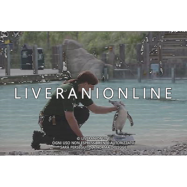 Zookeeper Vicky Fyson, at ZSL London Zoo, weighs and measures penguins during the zoo\'s annual weigh-in on August 22, 2012 in London, England. The height and mass of every animal in the zoo, of which there are over 16,000, needs to be recorded. The measurements are collated in the Zoological Information Management System, from which zoologists can use the data to compare information on thousands of endangered species. ©photoshot/AGENZIA ALDO LIVERANI SAS - ITALY ONLY - Annuale operazione di pesatura e misurazione degli animali dello zoo di Londra 22 agosto 2012, Inghilterra necessario per essere registrati. Le misure sono raccolte nel sistema zoologico di gestione delle informazioni, per confrontare i dati su migliaia di specie in via di estinzione.